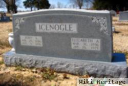 John Logan Icenogle