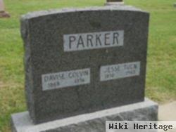 Davise Colvin Parker