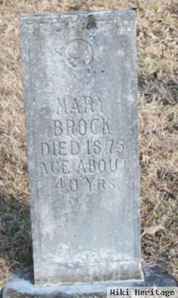 Mary Singleton Brock