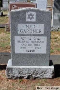 Ned Gardner