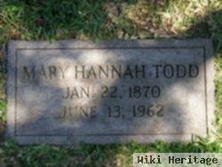 Mary Hannah Howells Todd