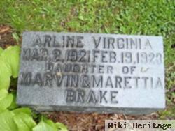 Arline Virginia Brake