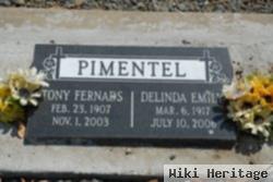 Tony Fernads Pimentel