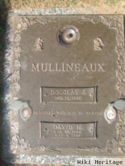 David M Mullineaux