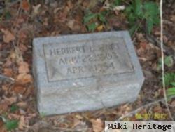 Herbert L. Hart