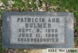 Patricia Ann Quinn Bulmer