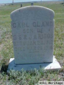 Carl Oland Riggs