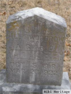 Allie Woodrow Houser