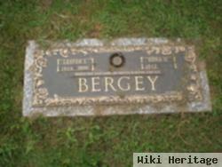 Lester L. Bergey