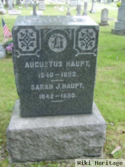 Augustus Haupt