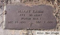 Harry Kamm