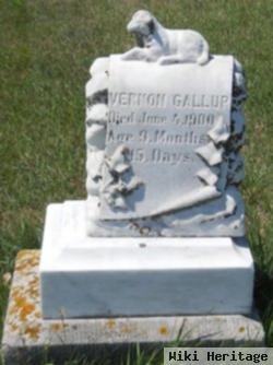 Vernon Gallup