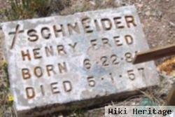 Henry Fred Schneider