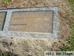 Mary Hannah Walker Stambaugh