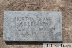Horton Blake Gilleland