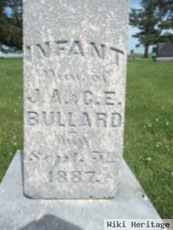 Infant Bullard