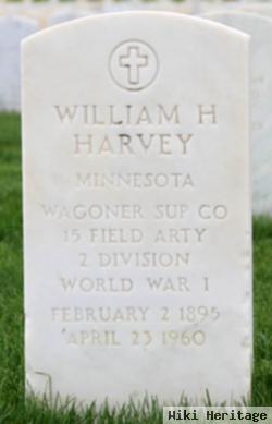 William H Harvey
