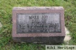 Mary Joy Schweighart