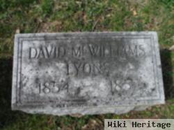 David Mcwilliams Lyons