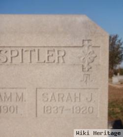 Sarah Jane Burleson Spitler