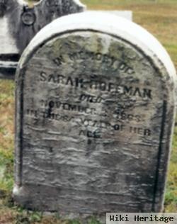 Sarah Ann Saxton Hoofman