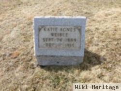 Katie Agness Weible