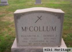 William B Mccollum, Sr