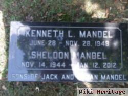 Kenneth L Mandel