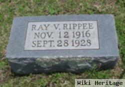 Ray Rippie