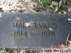 Mary Evans Wynn