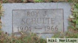 Roy J Schulte