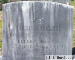 Noah J Holmes