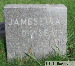 Jamesetta Dunseath