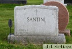 Julius J Santini