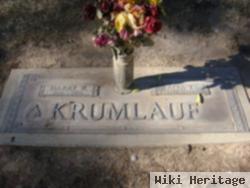 Harry E. Krumlauf