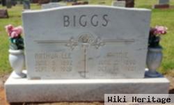 Minnie Ellen Scherer Biggs