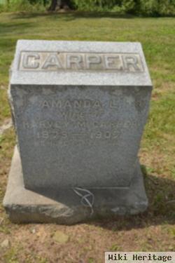 Amanda L Carper