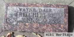 Wayne Dale Fritchell, Jr