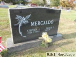 Stephen J. Mercaldo