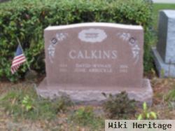 David W. Calkins, Sr