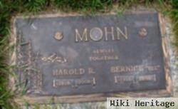 Harold Rueben Mohn