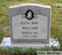 Eliza Jane Williams