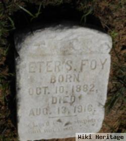 Peter S. Foy