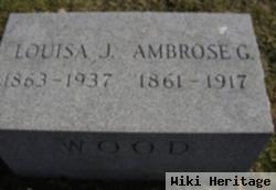 Ambrose G Wood