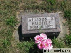 Allison D Hughes