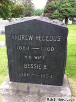 Andrew Hegedus