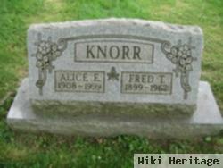 Fred T Knorr