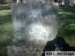 Ole Bergquist