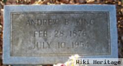 Andrew B King