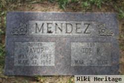 Joe R. Mendez